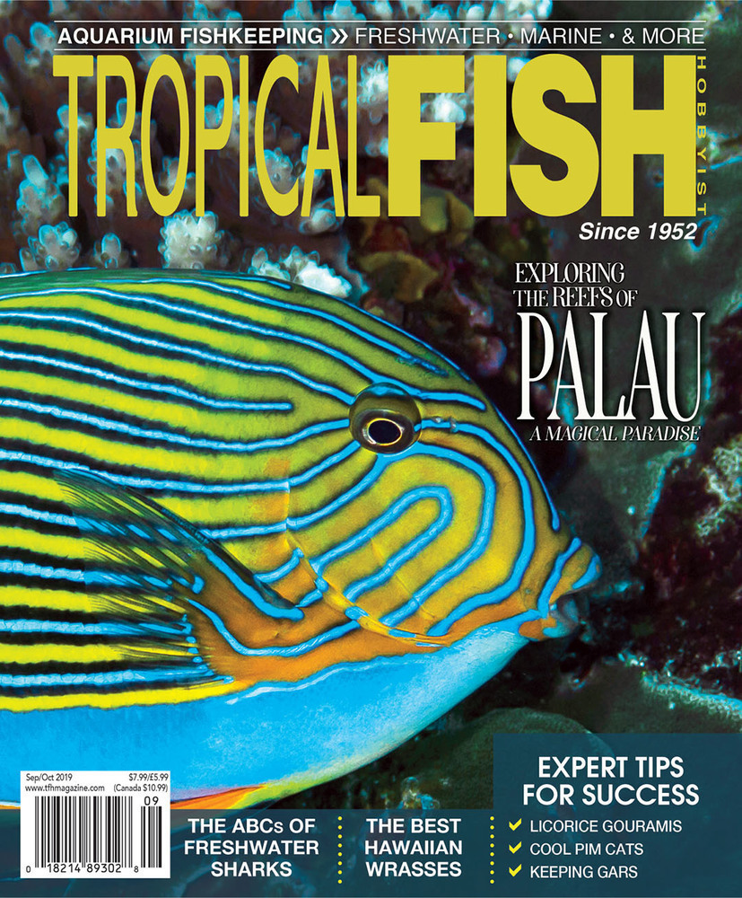 Tropical Fish Hobbyist - Sep/Oct 2019 - Cover