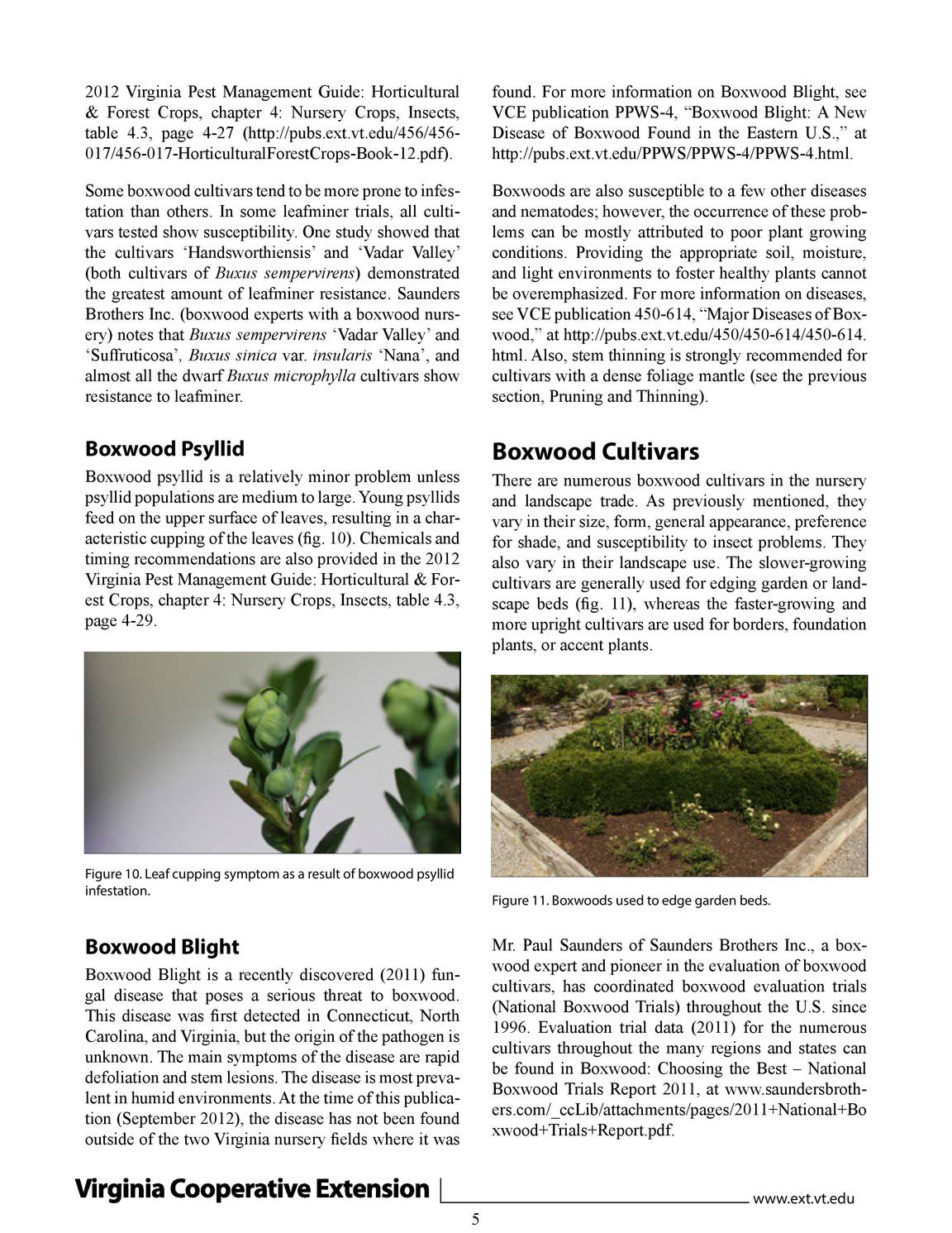 vcedigitalpubs - 426-603 (HORT-290P) Selecting Landscape Plants: Boxwoods -  page 4